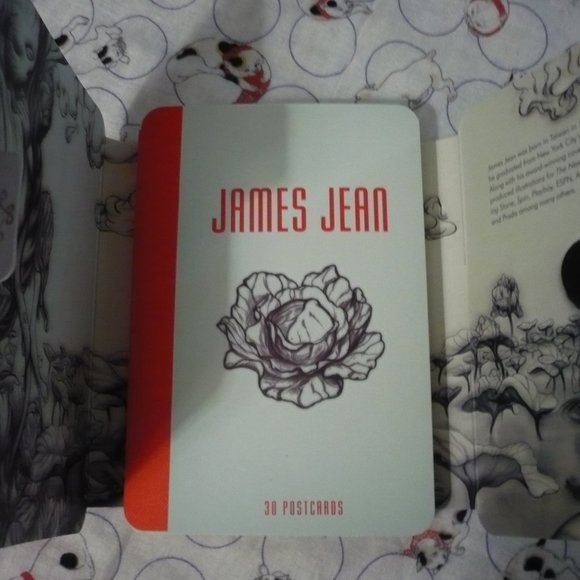 James Jean Collectors XOXO Hugs and Kisses 30 Postcards - Picture 6 of 11